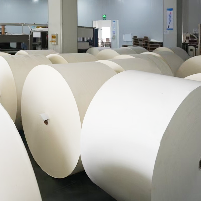 Kertas Bottom Cangkir Dilapisi Bebas Plastik Kompos